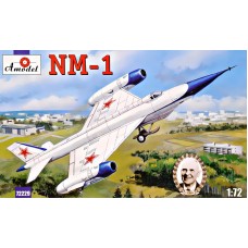 Досвідчений літак-розвідник НМ-1 (NM-1)