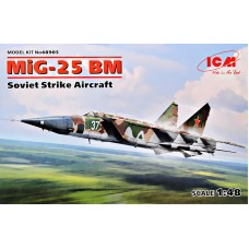 Радянський літак МіГ-25 БМ